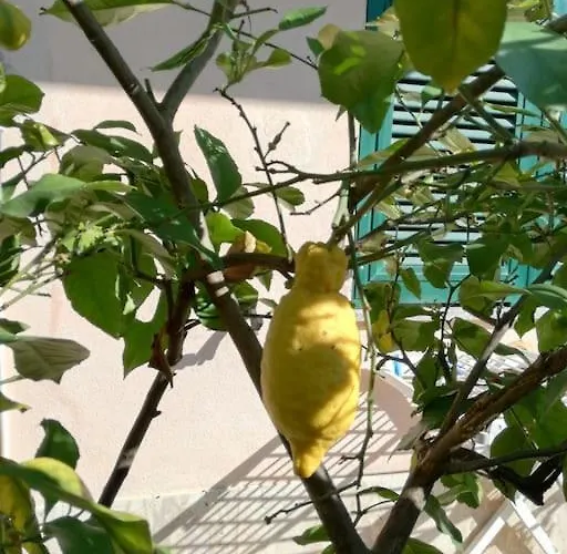 Il Giardino Di Ari Διαμέρισμα
